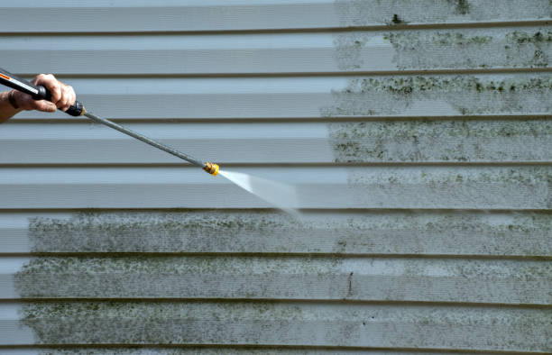 Best Deck and Patio Pressure Washing in Mount Vernon, TX